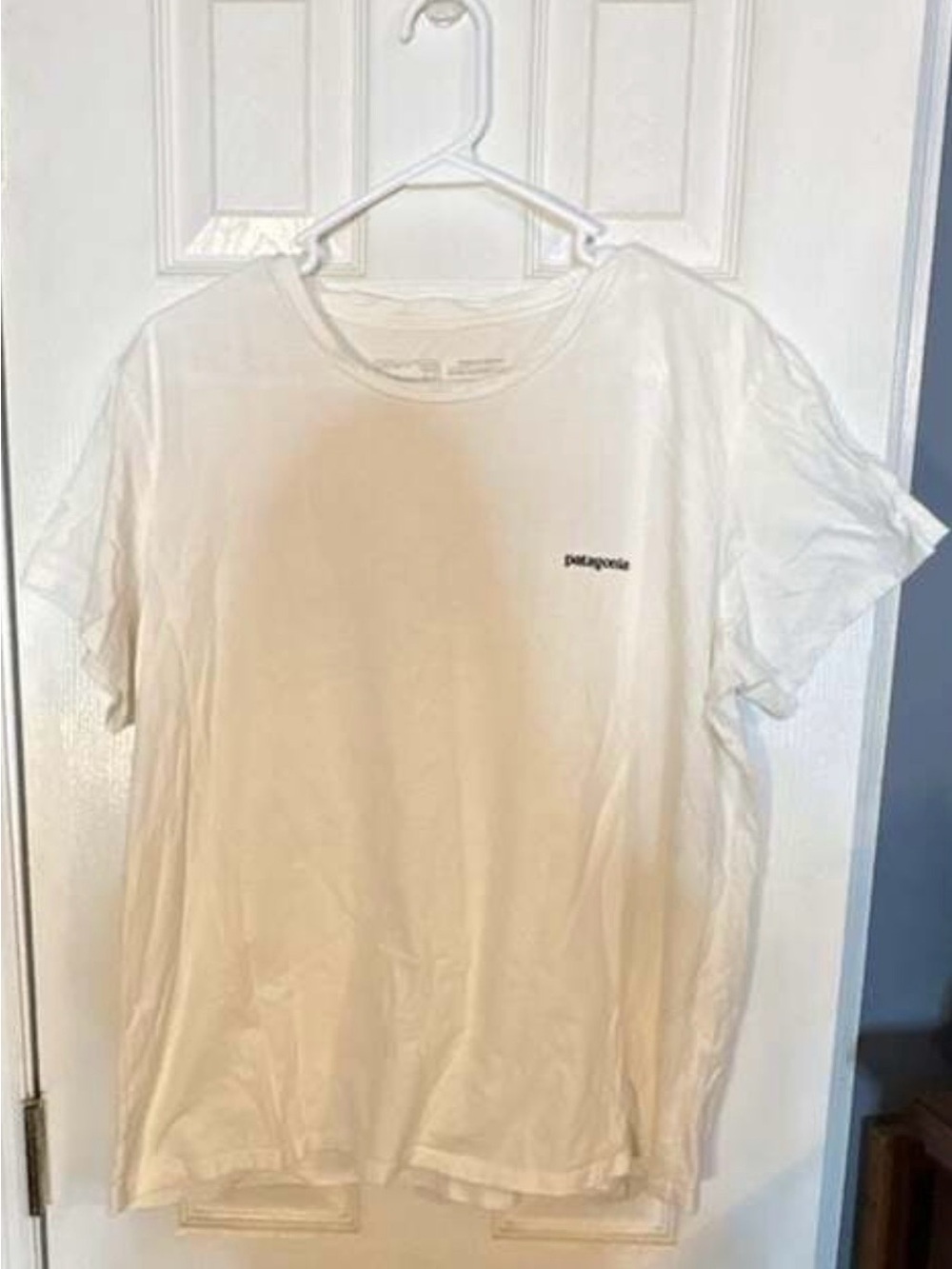Patagonia tshirt